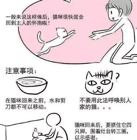 剪刀法原理|剪刀法找猫是什么原理？猫咪丢失后找回的正确方法